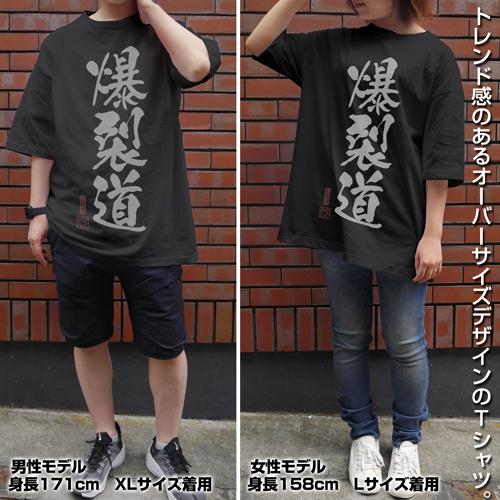 KonoSuba God`s Blessing on this Wonderful World! Bakuretsudo Big Silhouette T-Shirt